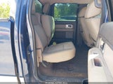 Ford F-150 Fx4/Harley-Davidson/King Ranch/Lariat/Platinum/Xl/Xlt 1FTFW1EV1AFD50156 photo