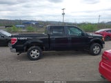 Ford F-150 Xlt 1FTFW1EF9BKD52125 снимка