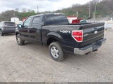Ford F-150 Xlt 1FTFW1EF9BKD52125 снимка