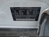 Miniaturka zdjęcia 9
