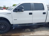 Ford F-150 Xl 1FTFW1ET8EFB44191 снимка