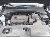 Kia Sorento 2.4L Lx 5XYPG4A36LG665431 fotografie