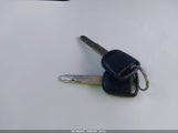 Miniaturka zdjęcia 11