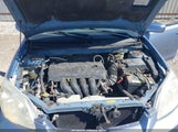 Toyota Matrix Xr 2T1KR30E36C587997 снимка