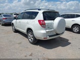 Toyota Rav4 Limited JTMZF31V295002169 photo