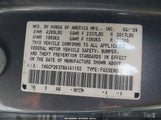Miniaturka zdjęcia 9