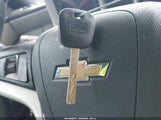 Miniaturka zdjęcia 11