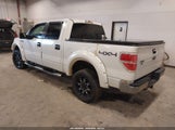 Ford F-150 Fx4/Harley-Davidson/King Ranch/Lariat/Platinum/Xl/Xlt 1FTFW1EVXAFB36654 снимка
