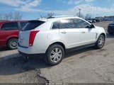 Cadillac Srx Luxury Collection 3GYFNDEY6BS582533 снимка