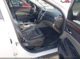 Cadillac Srx Luxury Collection 3GYFNDEY6BS582533 снимка