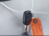 Miniaturka zdjęcia 11