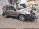 Honda Cr-V Lx JHLRD78585C055289 снимка
