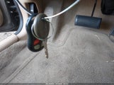 Miniaturka zdjęcia 11