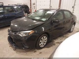 Miniaturka zdjęcia 2