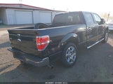 Ford F-150 Xlt 1FTFW1ET3DFC30510 снимка
