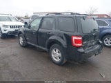 Ford Escape Xlt 1FMCU03178KE63979 снимка