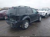Ford Escape Xlt 1FMCU03178KE63979 снимка