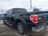Ford F-150 Xlt 1FTFW1ET3CKD55853 снимка