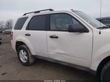 Ford Escape Xlt 1FMCU03749KC26016 снимка