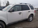 Ford Escape Xlt 1FMCU03749KC26016 снимка