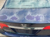 Honda Civic Lx 2HGFA1F56AH565593 снимка