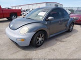 Volkswagen New Beetle Glx 3VWDD21C53M410124 снимка