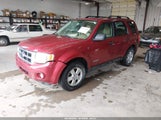 Ford Escape Xlt 1FMCU93138KE12094 снимка