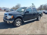 Ford F-150 Xlt 1FTFW1EF3DKD10181 снимка