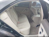 Toyota Camry Le V6 4T1BK46K69U073667 photo