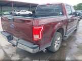 Ford F-150 Xlt 1FTEW1CP1GKF10648 снимка