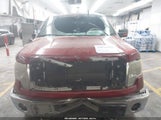 Ford F-150 Xlt 1FTFW1ET0EFB31306 снимка