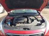 Hyundai Sonata Sport 5NPE34AF3HH520392 снимка
