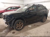 Toyota Rav4 Hybrid Woodland Edition 2T3UWRFV8RW229915 photo