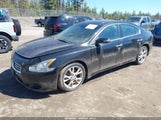 Nissan Maxima 3.5 Sv 1N4AA5APXEC485611 снимка