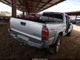 Toyota Tacoma Prerunner V6 5TEKU72N07Z369577 photo
