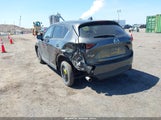 Miniaturka zdjęcia 3