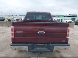 Ford F-150 Fx2 Sport/Harley-Davidson/King Ranch/Lariat/Platinum/Xl/Xlt 1FTFW1CV5AFC23123 снимка