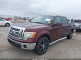Ford F-150 Fx2 Sport/Harley-Davidson/King Ranch/Lariat/Platinum/Xl/Xlt 1FTFW1CV5AFC23123 снимка