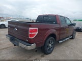 Ford F-150 Fx2 Sport/Harley-Davidson/King Ranch/Lariat/Platinum/Xl/Xlt 1FTFW1CV5AFC23123 снимка
