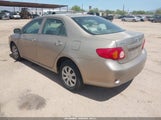 Toyota Corolla Le 1NXBU40E69Z035482 снимка