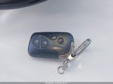 Miniaturka zdjęcia 11
