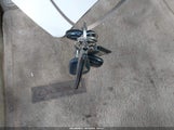 Miniaturka zdjęcia 11