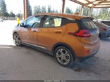 Miniaturka zdjęcia 3
