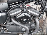Harley-Davidson Xl883 N 1HD4LE214KC422543 снимка