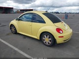 Volkswagen New Beetle 2.5L 3VWPG31C59M500375 снимка