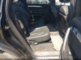 Miniaturka zdjęcia 8