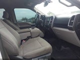 Ford F-150 Xlt 1FTEW1EG8GFB21415 снимка