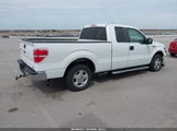 Ford F-150 Fx2 Sport/Lariat/Xl/Xlt 1FTFX1CV3AFD51194 photo