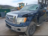 Ford F-150 Xlt 1FTEX1EM6DFD46916 снимка
