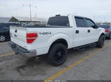 Ford F-150 Xl 1FTFW1EF0EKG24047 fotografie